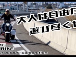 BLAZE EV TRIKE 電動三輪バイク動画紹介